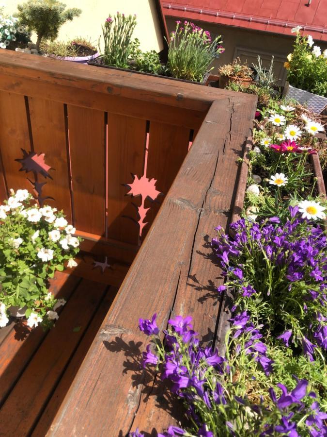 Apartman Relax Vysoké Tatry 외부 사진